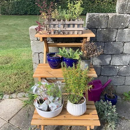 “den Gamle Lade I Hejls” Hejls