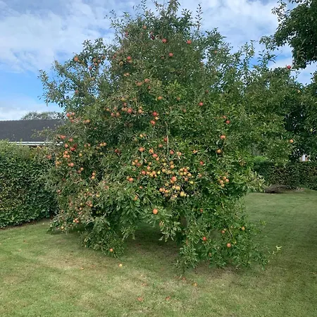 “den Gamle Lade I Hejls” Bed & Breakfast 4*