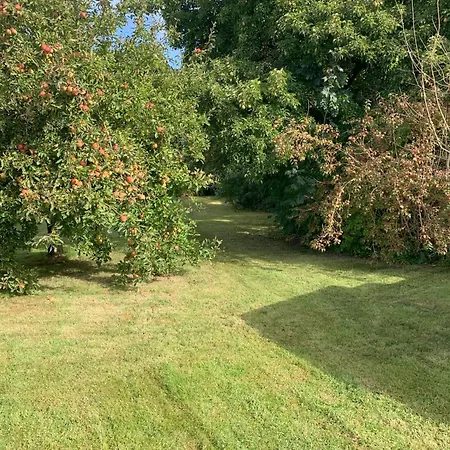 “den Gamle Lade I Hejls” 4*