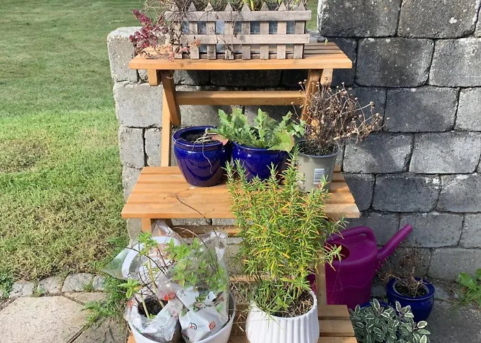 “den Gamle Lade I Hejls” Hejls