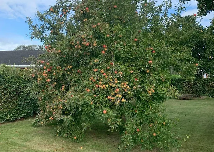 “den Gamle Lade I Hejls” Alojamento de Acomodação e Pequeno-almoço 4*